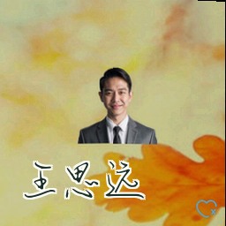 王思远